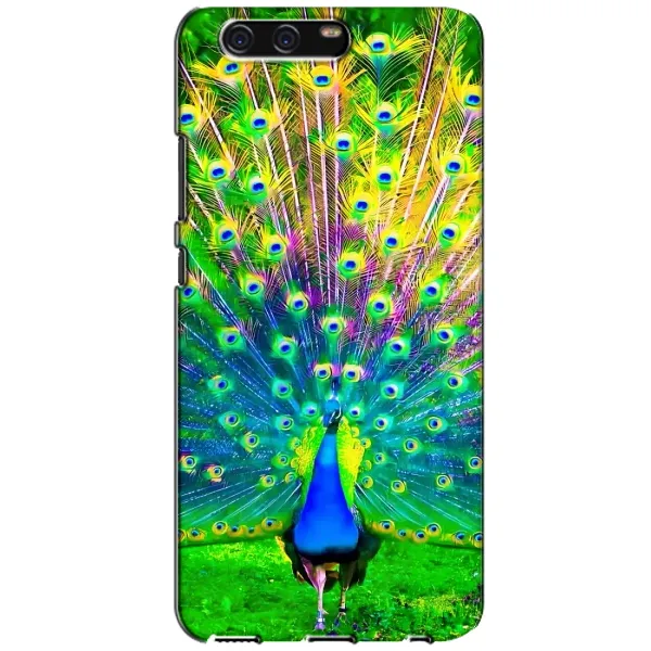 Чехол с принтом «Яркий Павлин» для Huawei P10 (VTR) Чехол с принтом «Яркий Павлин» для Huawei P10 (VTR)