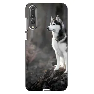 Чохол з Хаскі Huawei P20 Pro, CLT-L04 - (AlphaPrint) (Вірний собака)