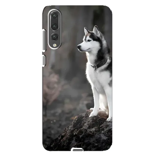 Чохол з принтом «Вірний собака» для Huawei P20 Pro (CLT-L04) Чохол з принтом «Вірний собака» для Huawei P20 Pro (CLT-L04)