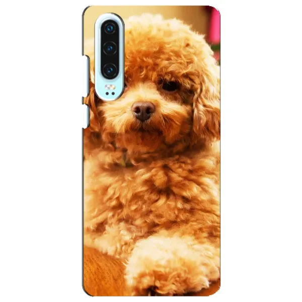 Чехол с принтом «Щенок Бишон» для Huawei P30