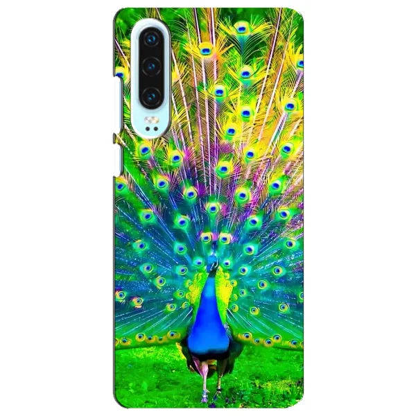 Чехол с принтом «Яркий Павлин» для Huawei P30