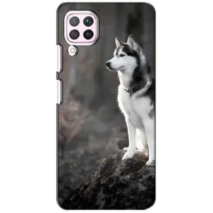 Чехол с Хаски для Huawei P40 Lite - (AlphaPrint) (Верный пес)