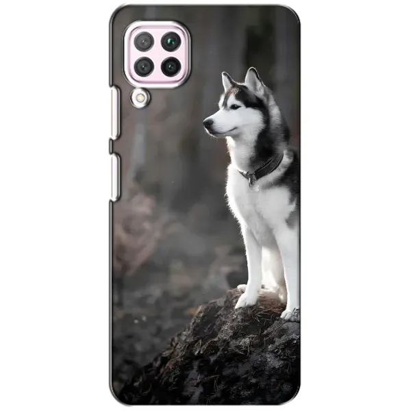Чехол с принтом «Верный пес» для Huawei P40 Lite