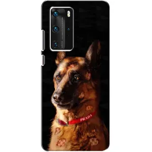 Чехлы с картинками животных Huawei P40 Pro (Овчарка)