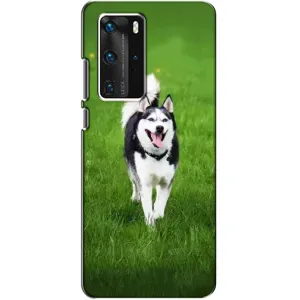 Чохол з Хаскі Huawei P40 Pro - (AlphaPrint) (Радісний Хаскі)