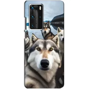 Чохол з Хаскі Huawei P40 Pro - (AlphaPrint) (Селфі Хаскі)