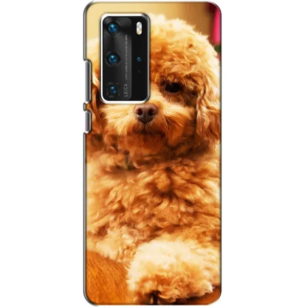 Чохол з принтом «Цуценя Бішон» для Huawei P40 Pro Чохол з принтом «Цуценя Бішон» для Huawei P40 Pro