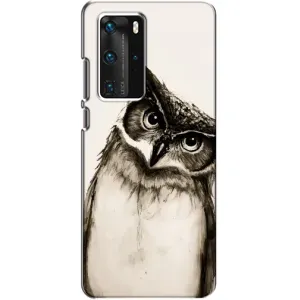Чохол з пташками на Huawei P40 Pro (VPrint) (Сова)