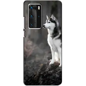 Чохол з Хаскі Huawei P40 Pro - (AlphaPrint) (Вірний собака)