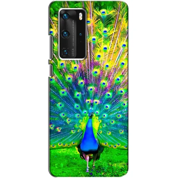 Чохол з принтом «Яскравий Павлин» для Huawei P40 Pro
