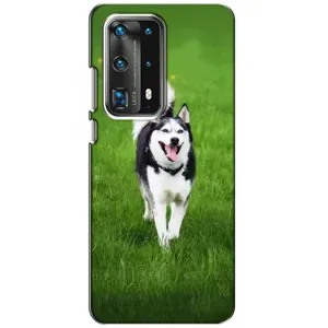 Чехол с Хаски для Huawei P40 - (AlphaPrint) (Радостный Хаски)