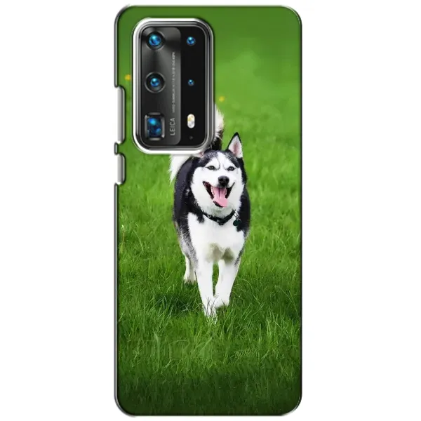 Чехол с принтом «Радостный Хаски» для Huawei P40 Чехол с принтом «Радостный Хаски» для Huawei P40