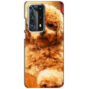 Чехлы с собаками для Huawei P40 (VPrint) (Щенок Бишон)