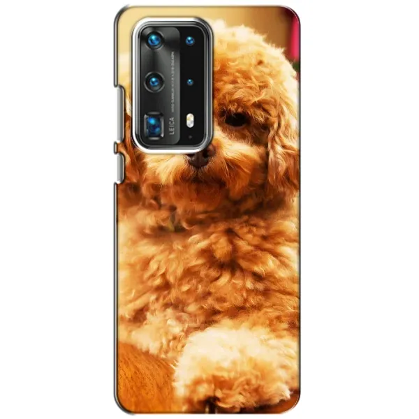 Чехол с принтом «Щенок Бишон» для Huawei P40 Чехол с принтом «Щенок Бишон» для Huawei P40