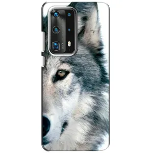 Чехлы с картинками животных Huawei P40 (Волк)