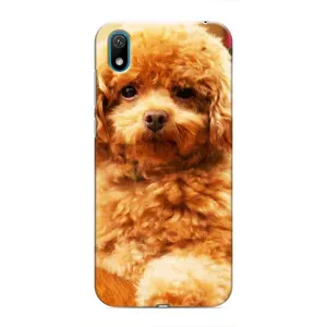 Чохли з собаками для Huawei Y5 2019 (VPrint) (Цуценя Бішон)