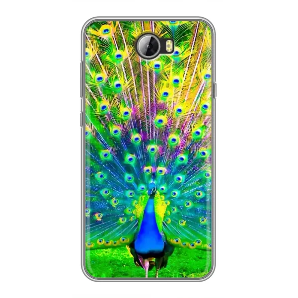 Чехол с принтом «Яркий Павлин» для Huawei Y5II Чехол с принтом «Яркий Павлин» для Huawei Y5II