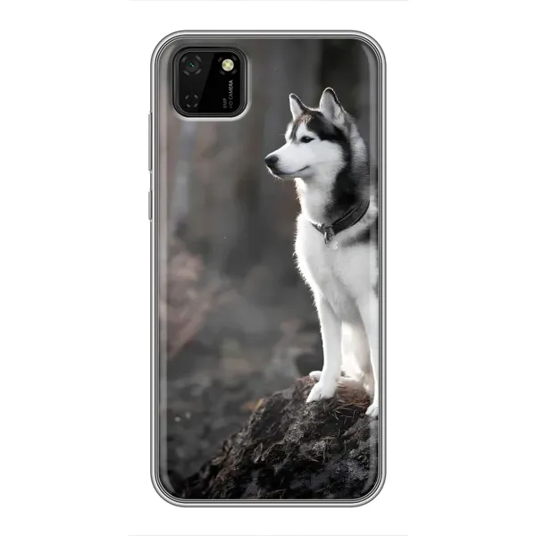 Чохол з принтом «Вірний собака» для Huawei Y5p Чохол з принтом «Вірний собака» для Huawei Y5p