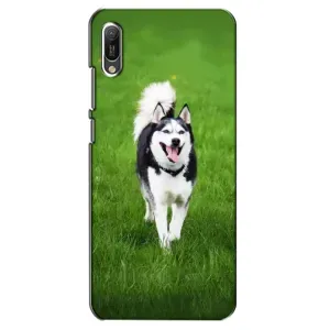 Чехол с Хаски для Huawei Y6 2019 - (AlphaPrint) (Радостный Хаски)