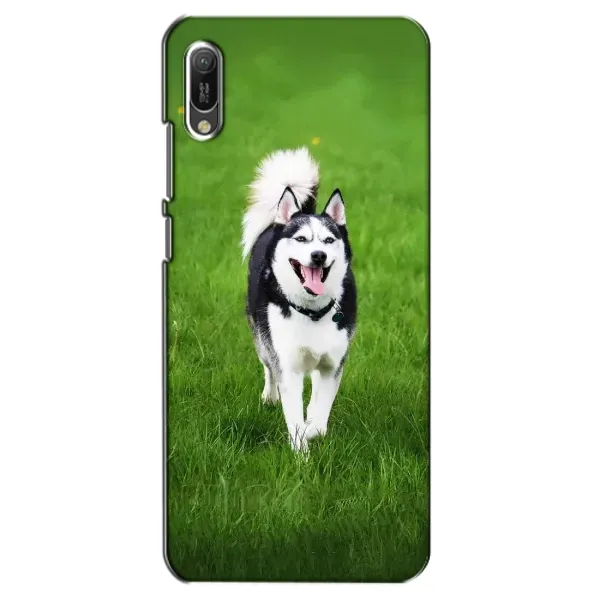 Чехол с принтом «Радостный Хаски» для Huawei Y6 2019