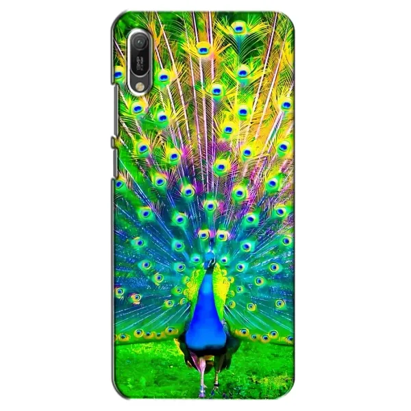 Чехол с принтом «Яркий Павлин» для Huawei Y6 2019