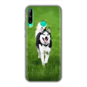 Чехол с Хаски для Huawei Y6p - (AlphaPrint) (Радостный Хаски)