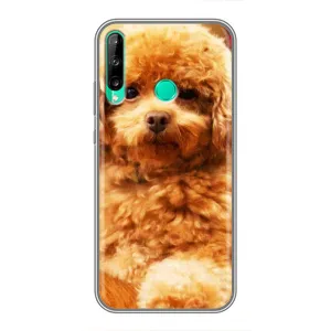 Чохли з собаками для Huawei Y6p (VPrint) (Цуценя Бішон)