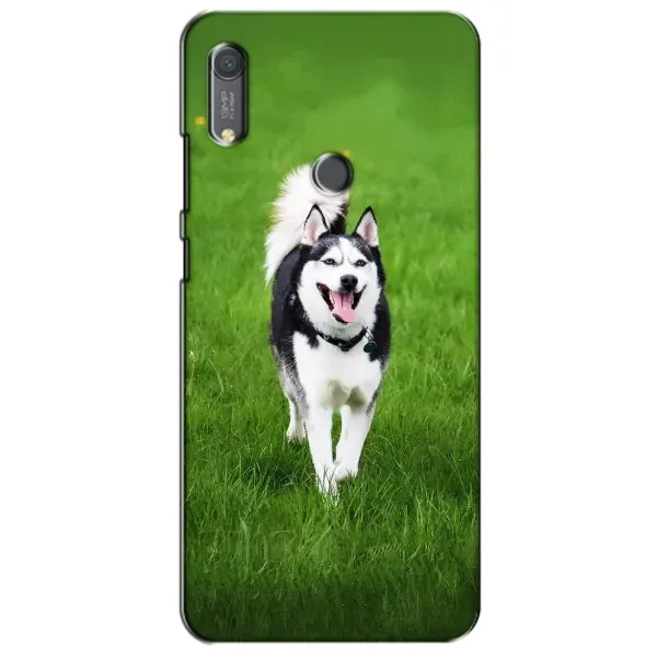 Чохол з принтом «Радісний Хаскі» для Huawei Y6s