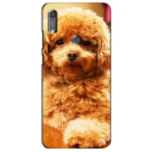 Чехлы с собаками для Huawei Y6s (VPrint) (Щенок Бишон)