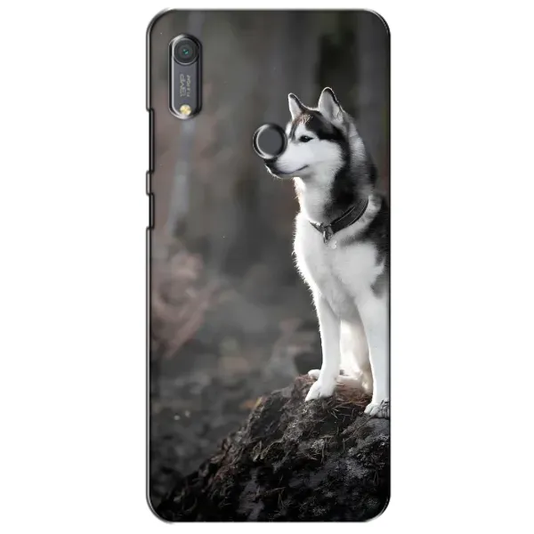 Чохол з принтом «Вірний собака» для Huawei Y6s