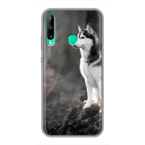 Чехол с принтом «Верный пес» для Huawei Y7p (2020)