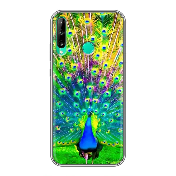 Чехол с принтом «Яркий Павлин» для Huawei Y7p (2020) Чехол с принтом «Яркий Павлин» для Huawei Y7p (2020)