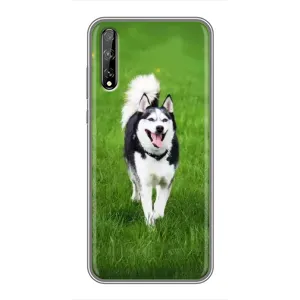 Чохол з Хаскі Huawei P Smart S / Y8p (2020) - (AlphaPrint) (Радісний Хаскі)