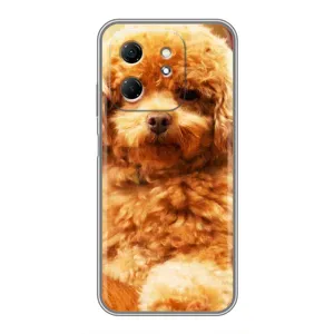 Чехлы с собаками для Infinix Hot 50i (VPrint) (Щенок Бишон)