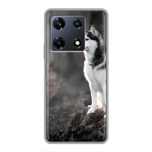 Чехол с принтом «Верный пес» для Infinix Note 30 Pro Чехол с принтом «Верный пес» для Infinix Note 30 Pro