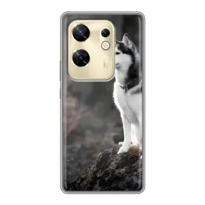 Чехол с Хаски для Infinix Zero 30 - (AlphaPrint) (Верный пес)