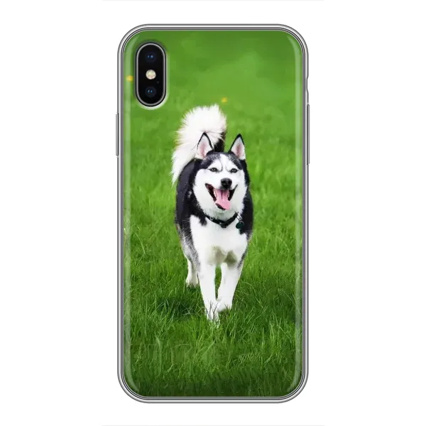 Чехол с принтом «Радостный Хаски» для iPhone X Чехол с принтом «Радостный Хаски» для iPhone X