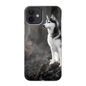 Чехол с Хаски для iPhone 12 mini - (AlphaPrint) (Верный пес)