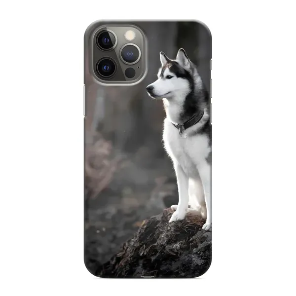 Чехол с принтом «Верный пес» для iPhone 12 Pro Max Чехол с принтом «Верный пес» для iPhone 12 Pro Max