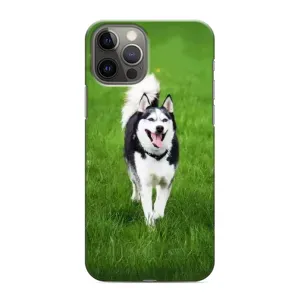 Чохол з Хаскі iPhone 12 Pro - (AlphaPrint) (Радісний Хаскі)
