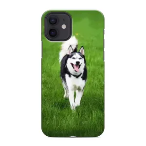 Чохол з принтом «Радісний Хаскі» для iPhone 12