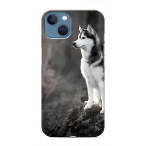 Чехол с Хаски для iPhone 13 Mini - (AlphaPrint) (Верный пес)