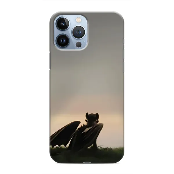 Чохол з принтом «Беззубик» для iPhone 13 Pro Max
