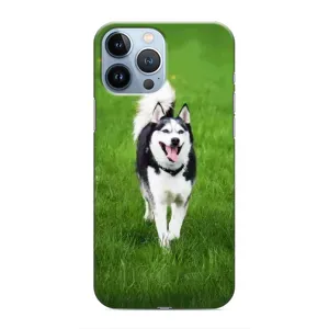 Чехол с Хаски для iPhone 13 Pro - (AlphaPrint) (Радостный Хаски)