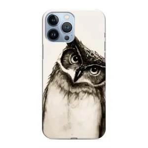 Чехол с птицами на iPhone 13 Pro (VPrint) (Сова)