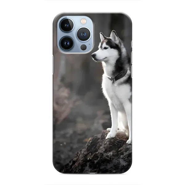 Чохол з принтом «Вірний собака» для iPhone 13 Pro Чохол з принтом «Вірний собака» для iPhone 13 Pro