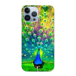 Чехол с птицами на iPhone 13 Pro (VPrint) (Яркий Павлин)