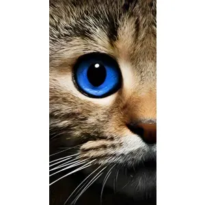 Чохли з Котиками для iPhone 14 Plus (VPrint) (Око кота)