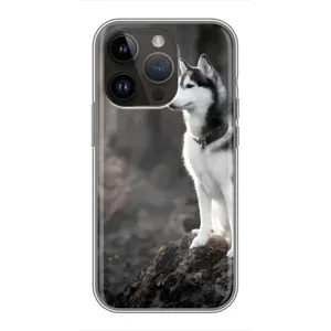 Чехол с Хаски для iPhone 14 Pro Max - (AlphaPrint) (Верный пес)