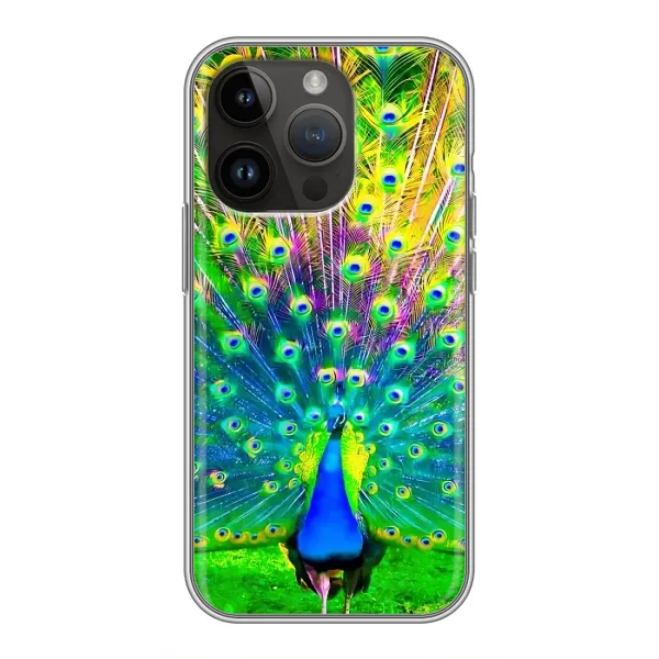 Чохол з принтом «Яскравий Павлин» для iPhone 14 Pro Max